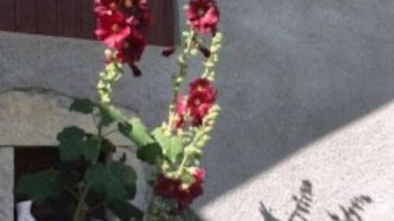 Photo of Outdoor in Valdrome