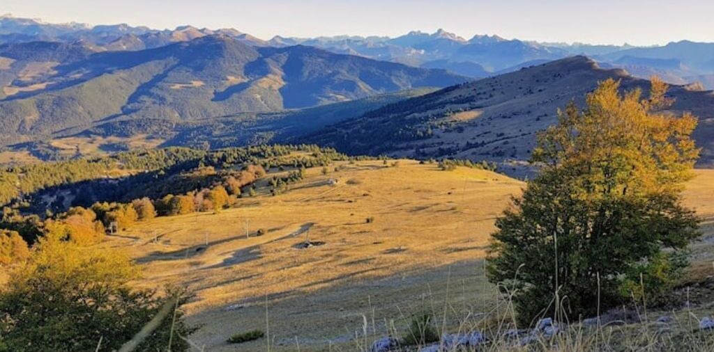 Photo of Others in Valdrome