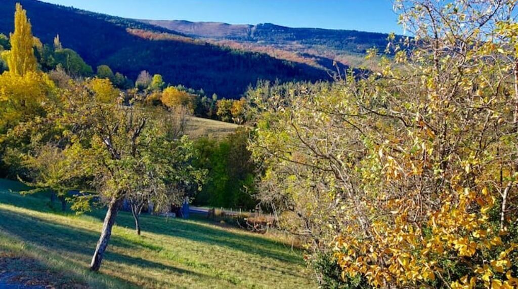 Photo of Others in Valdrome