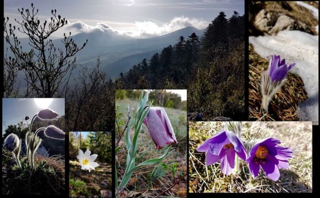 Photo of Outdoor in Valdrome