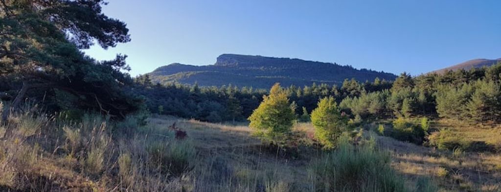 Photo of Others in Valdrome