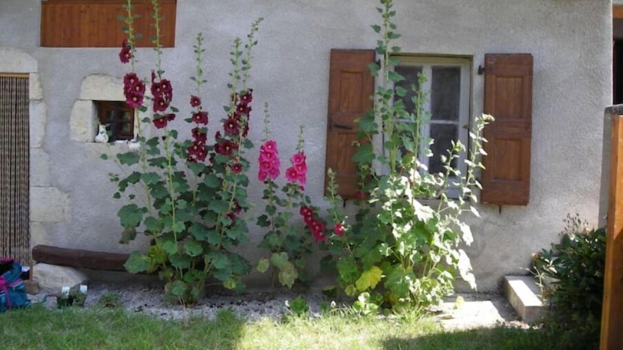 Photo of Outdoor in Valdrome