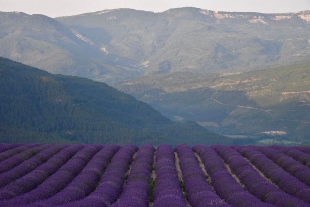 Photo of Outdoor in Valdrome