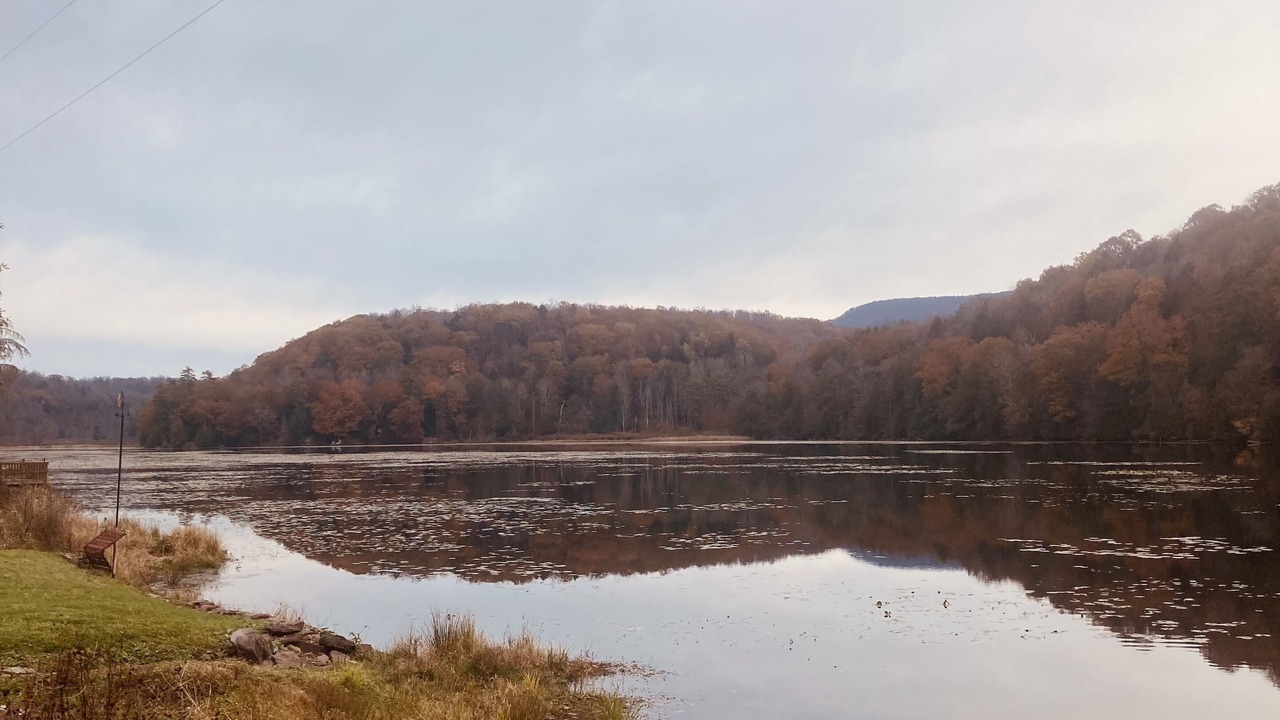 Photo of Others in Lairdsville