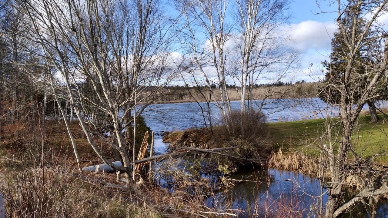 Photo of Others in Madawaska Valley