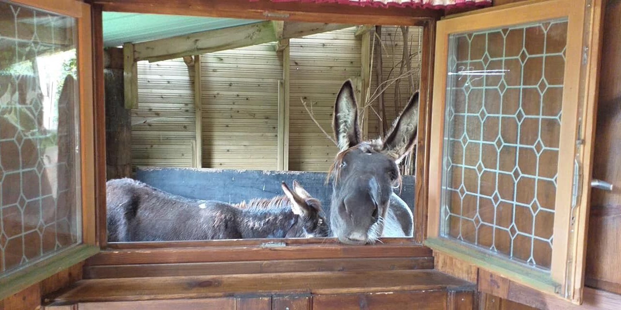 Photo of Bedroom in Bolleville