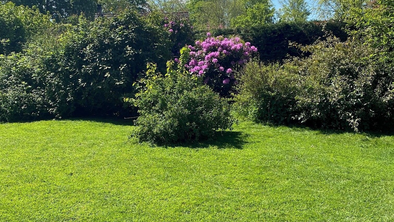 Photo of Outdoor in Villainville
