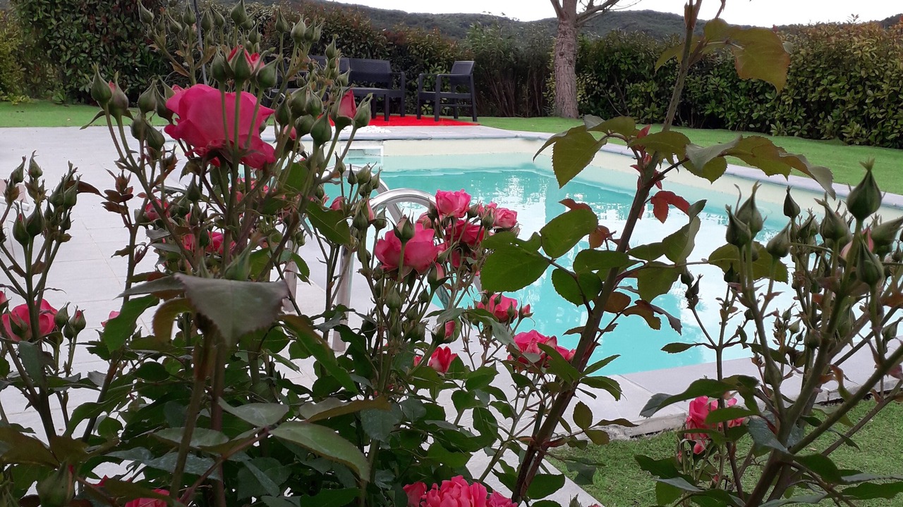 Photo of Outdoor in Montclar