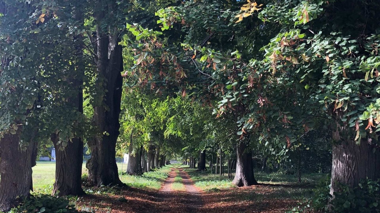 Photo of Outdoor in Tosny