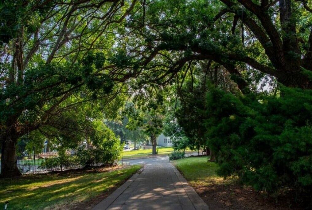 Photo of Outdoor in Yakima