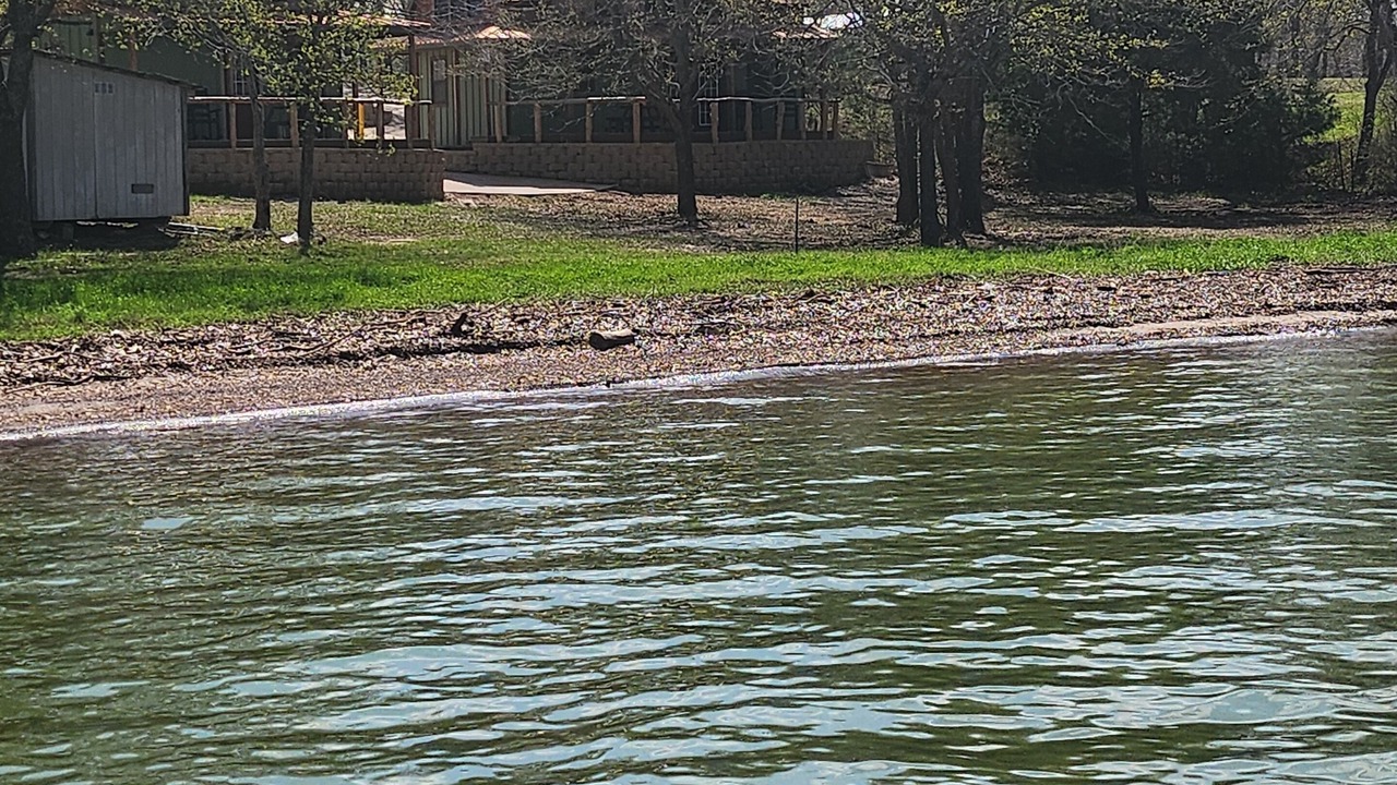 Photo of Outdoor in Cayuga