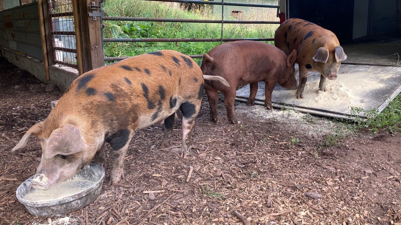 Photo of Bedroom in Delhi