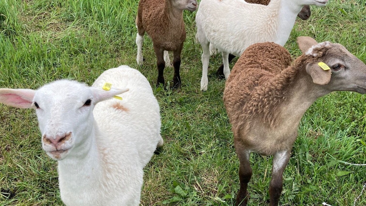 Photo of Outdoor in Delhi