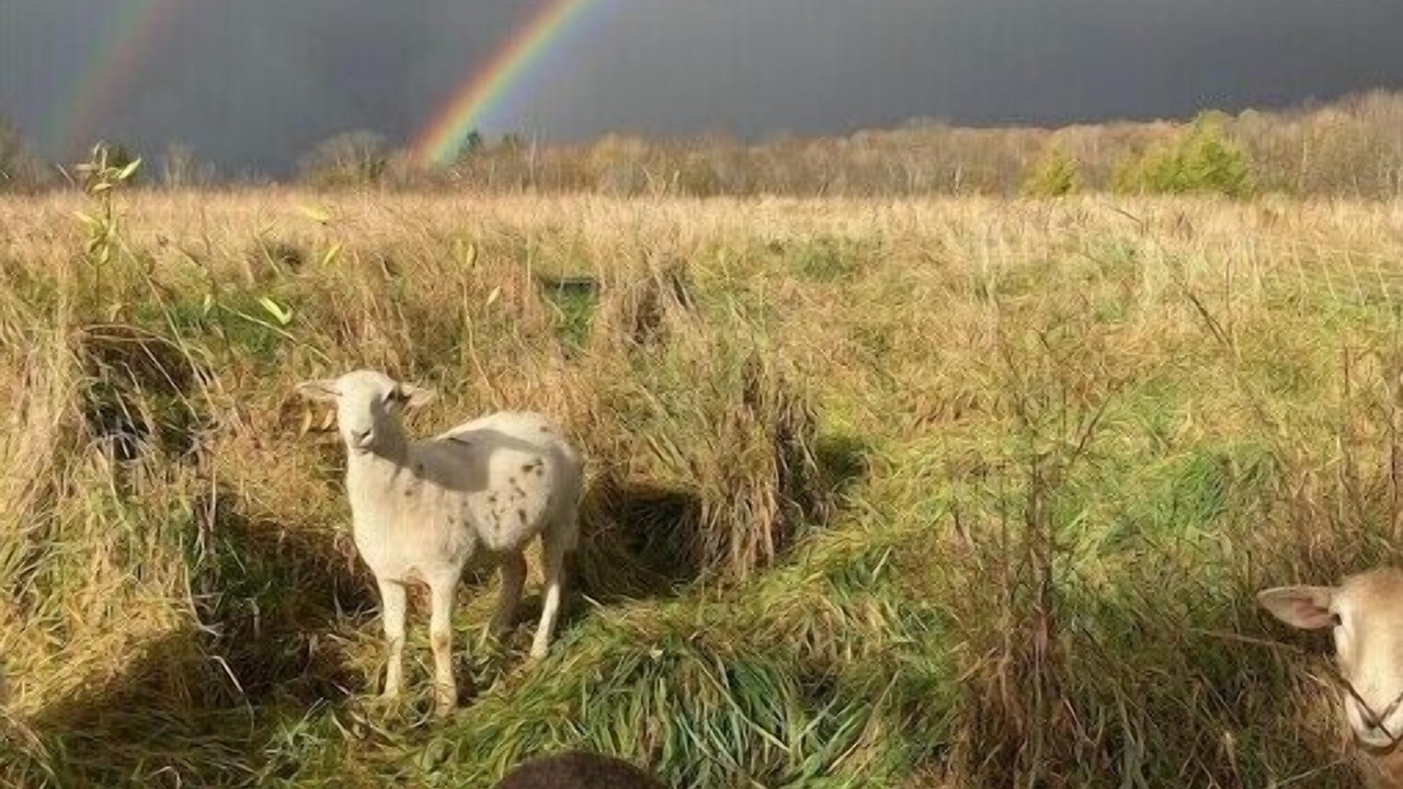 Photo of Outdoor in Delhi