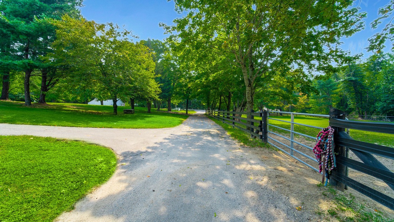 Photo of Outdoor in Killingworth