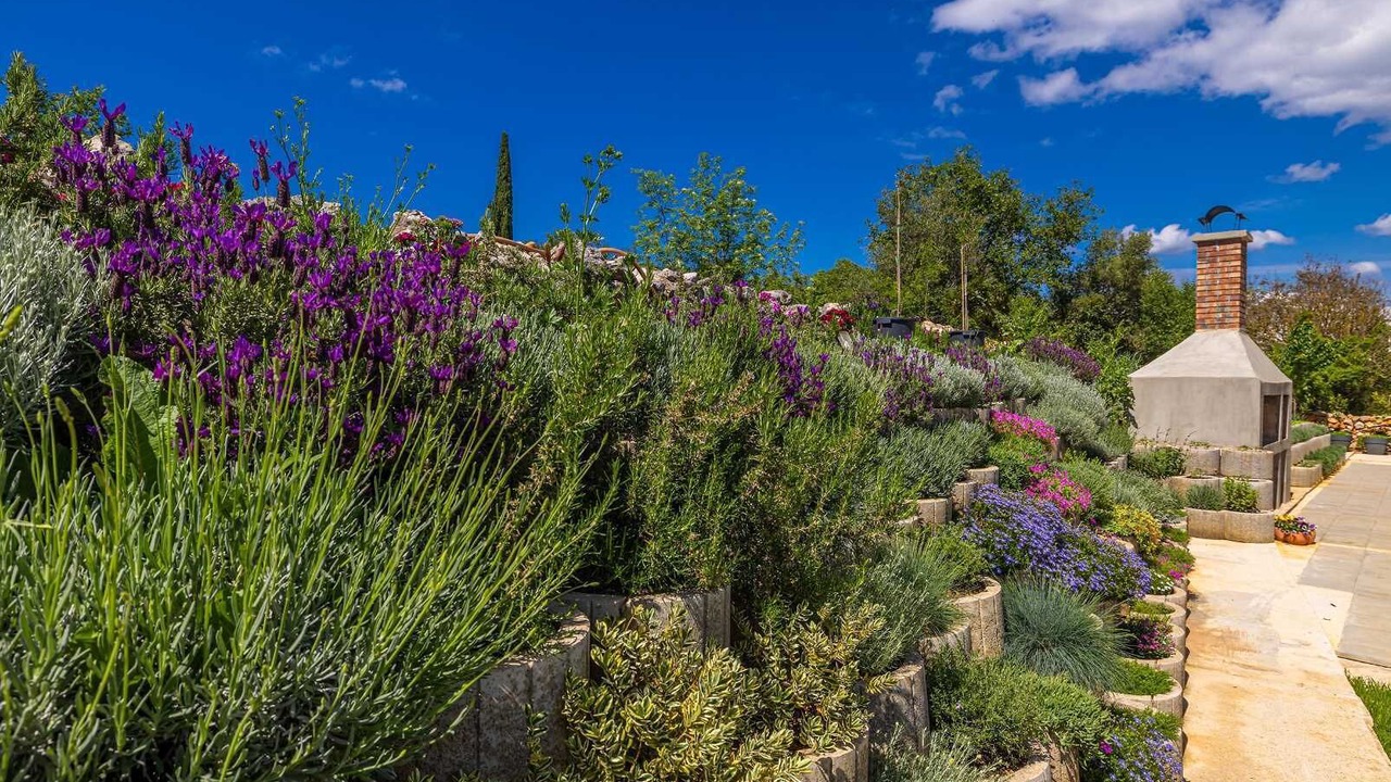 Photo of Outdoor in Linardici