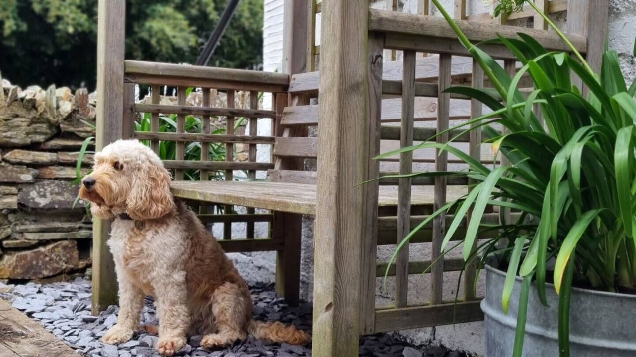 Photo of Outdoor in Lower Trengale