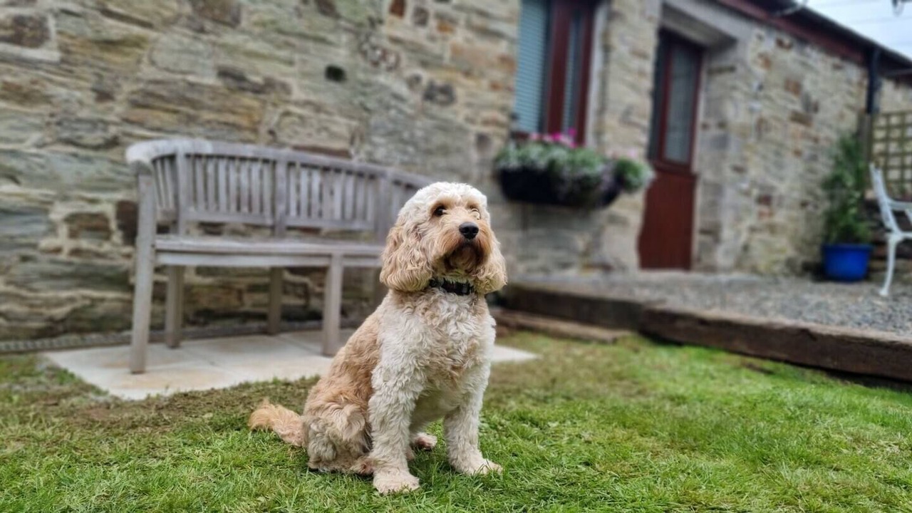 Photo of Outdoor in Lower Trengale