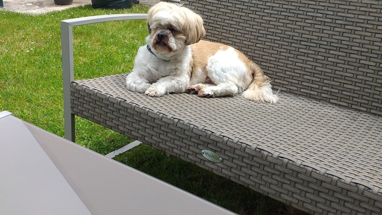 Photo of Outdoor in Benodet