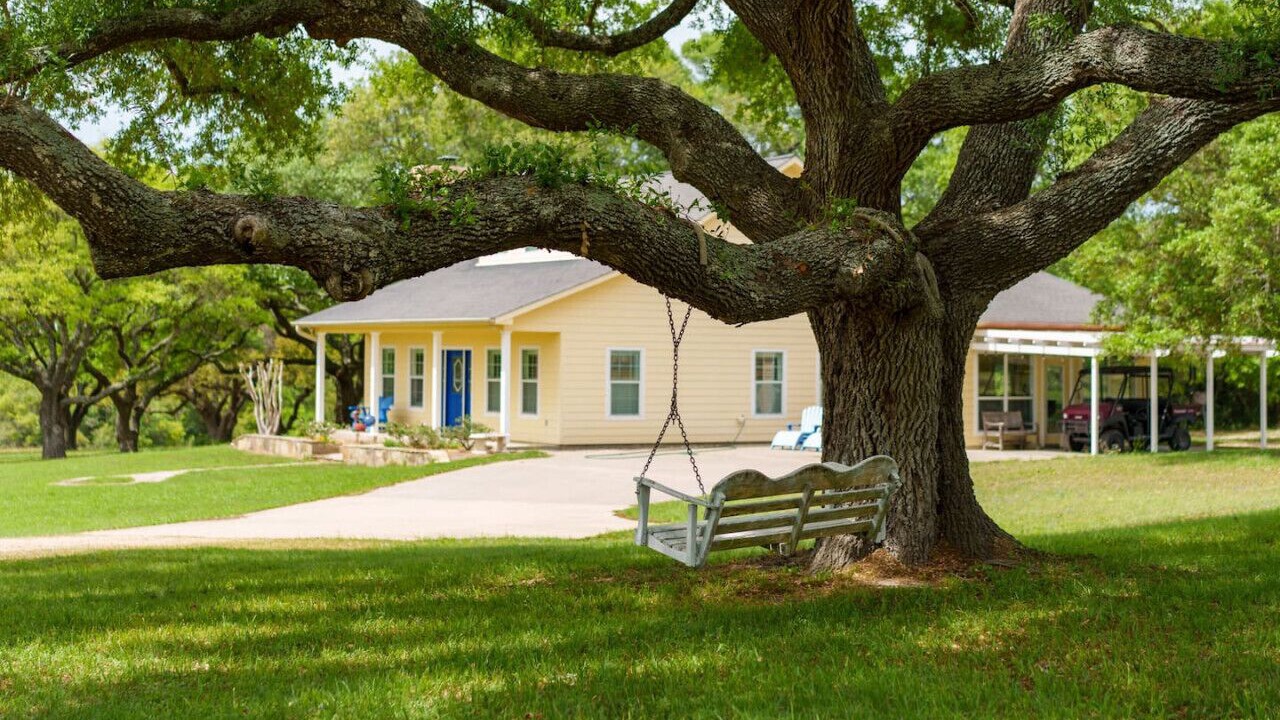 Photo of Outdoor in Wellborn