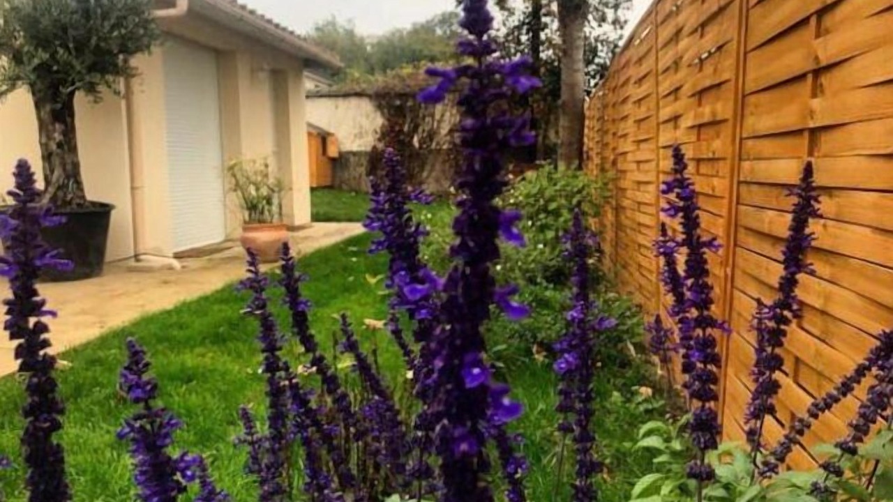 Photo of Outdoor in Cabourg