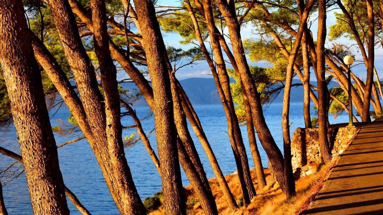 Photo of Bedroom in Le Moulleau