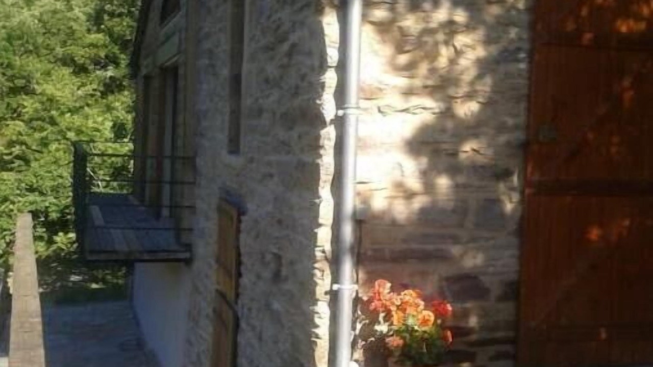 Photo of Outdoor in Requista