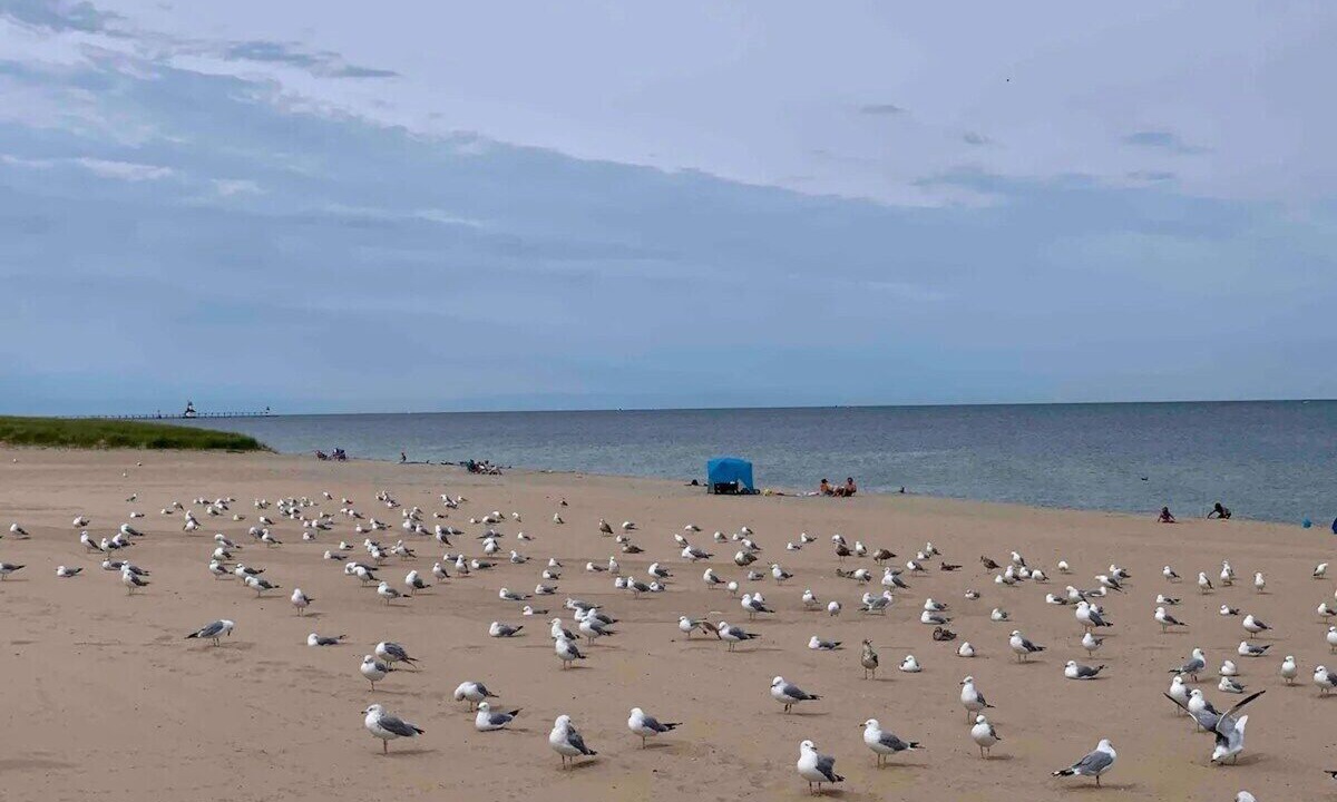 Photo of Outdoor in Benton Harbor