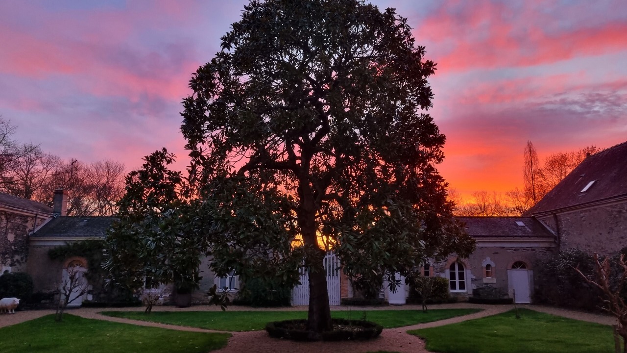 Photo of Outdoor in Saint-Barthelemy-d'Anjou