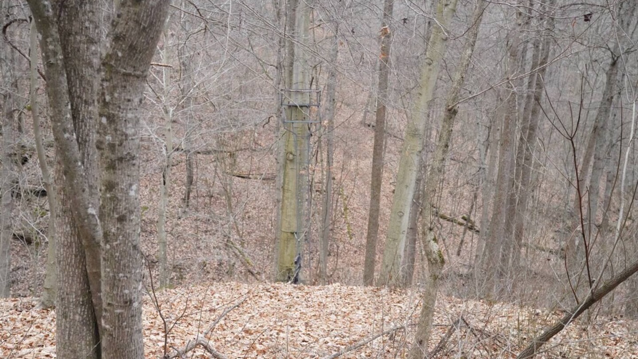 Photo of Others in Watertown