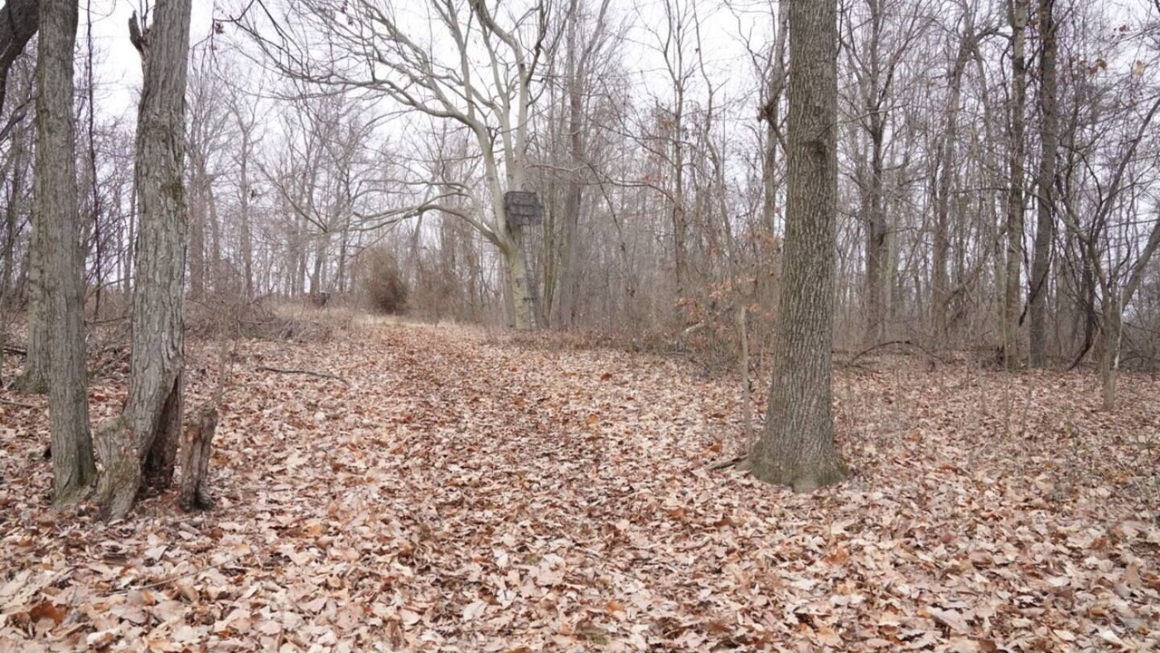 Photo of Others in Watertown