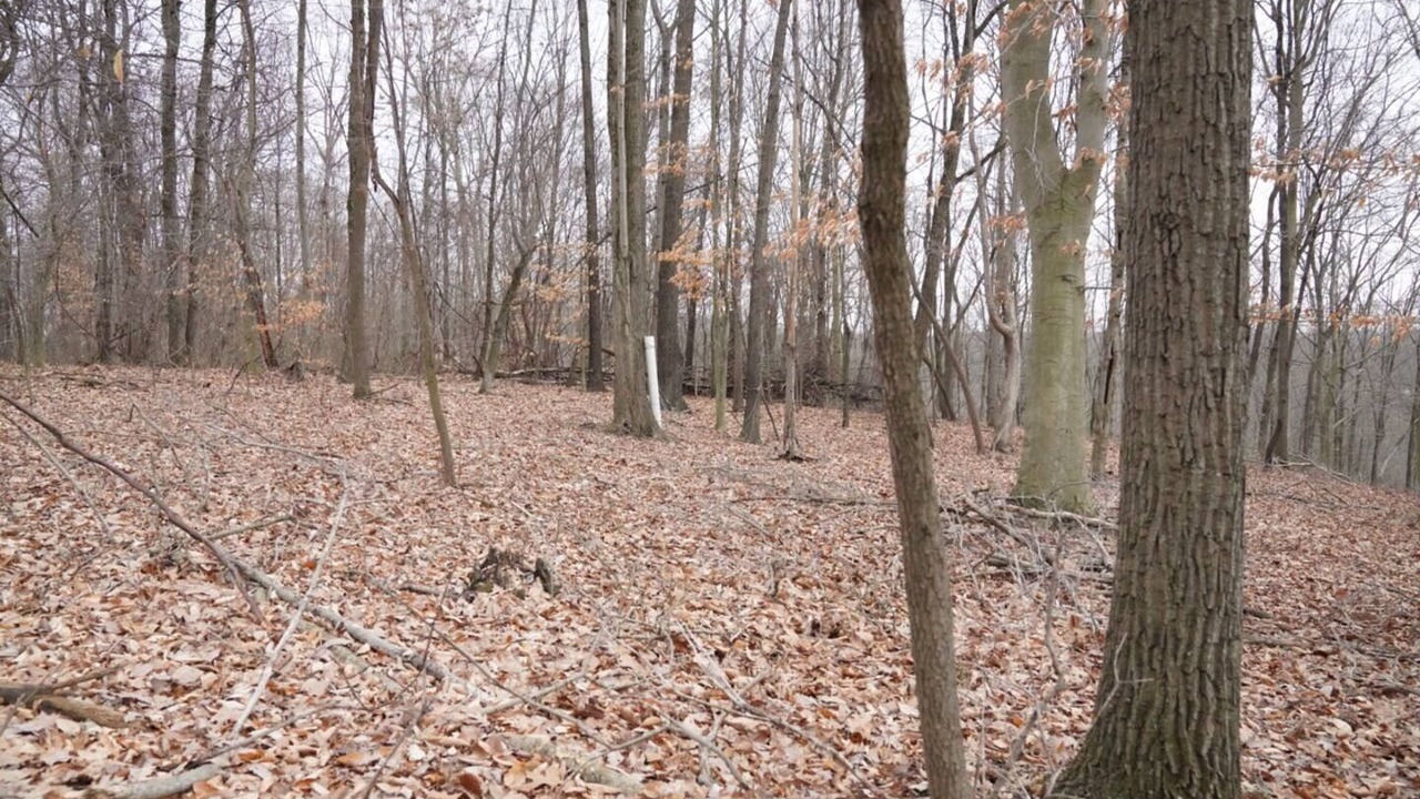 Photo of Outdoor in Watertown