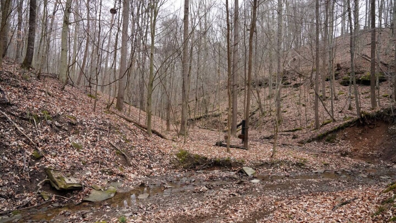 Photo of Outdoor in Watertown