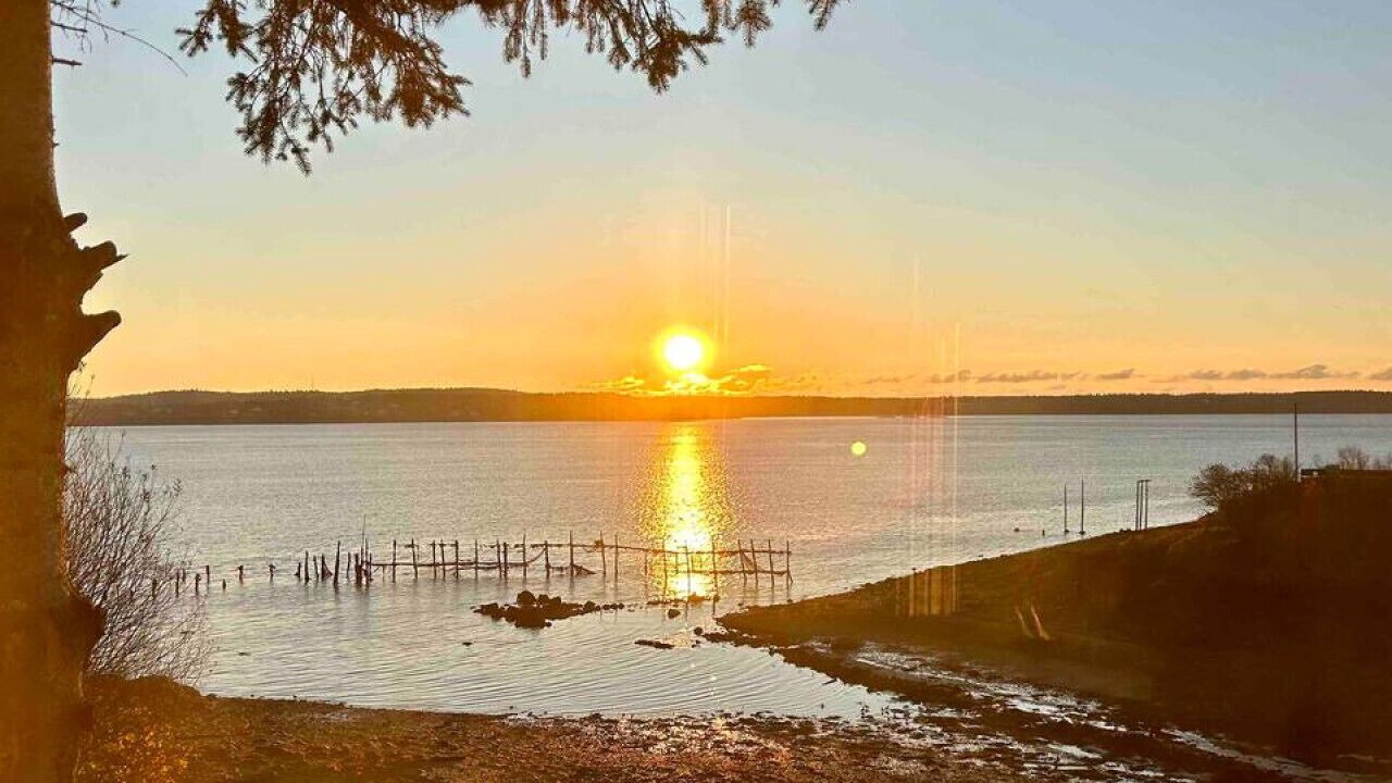 Photo of Others in Eastport