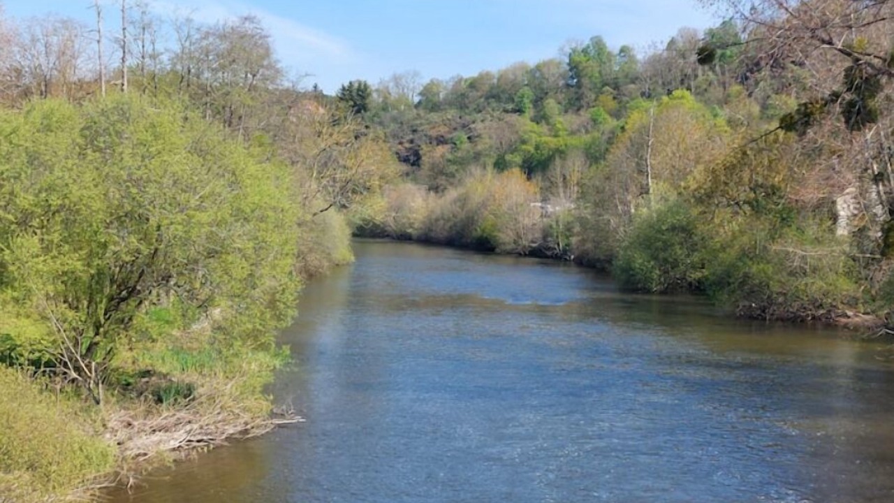 Photo of Others in Thury-Harcourt