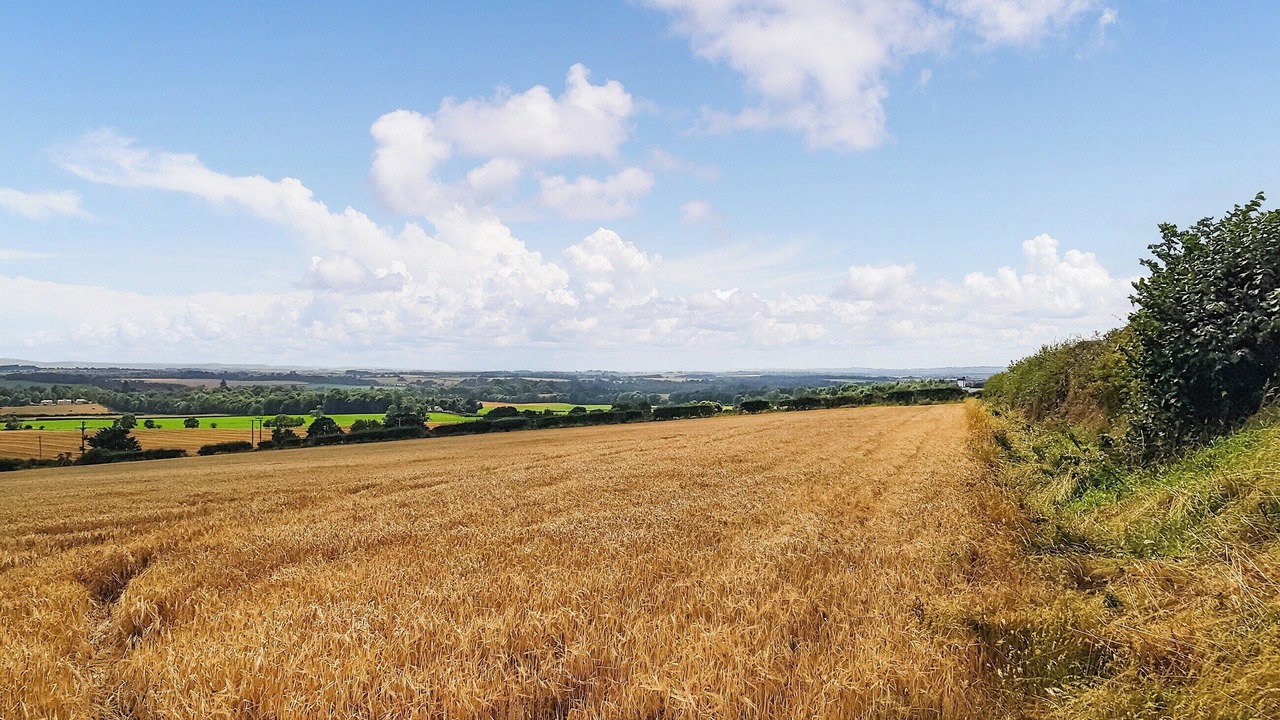 Photo of Others in Chirnside