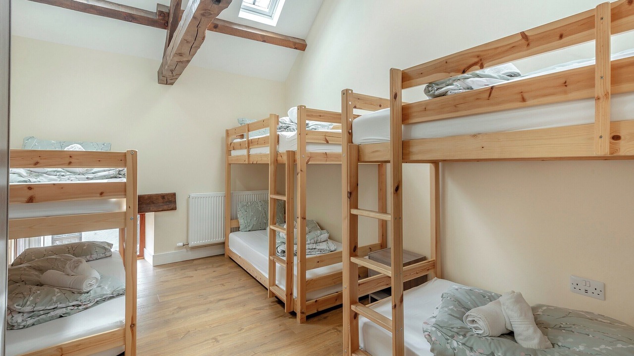 Photo of Others in Scales