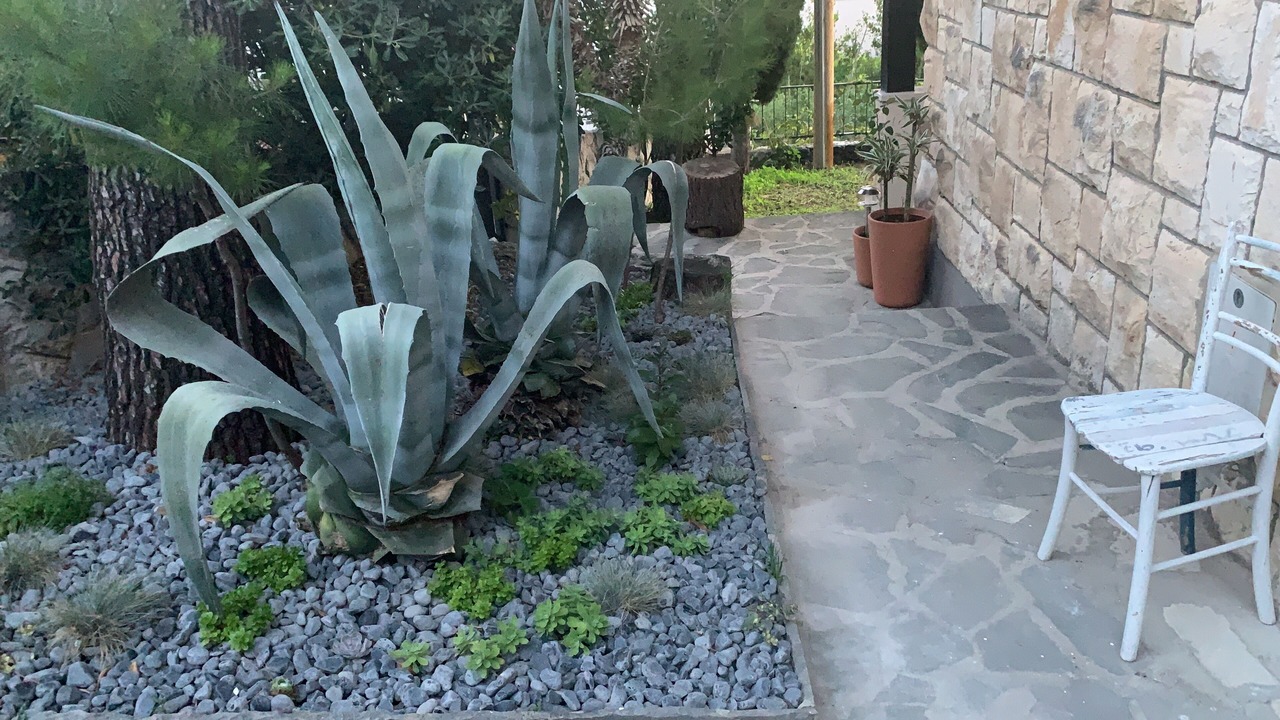 Photo of Outdoor in Duce