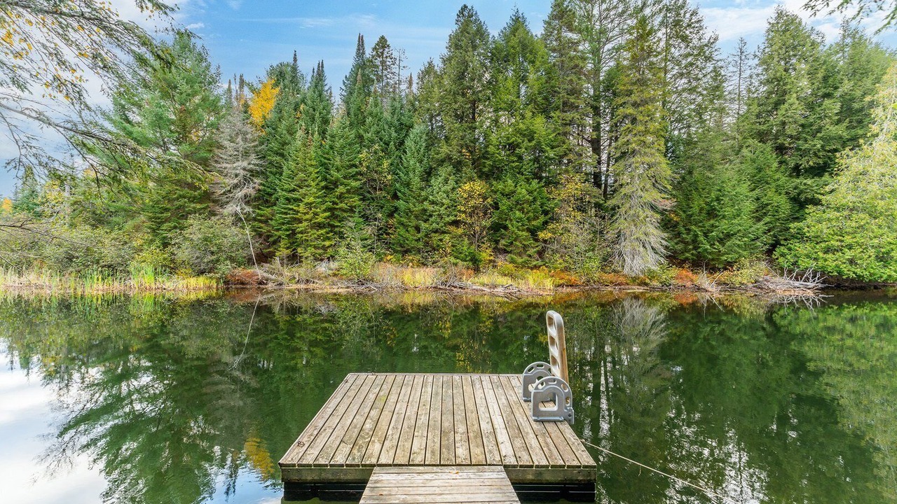 Photo of Outdoor in Algonquin Highlands