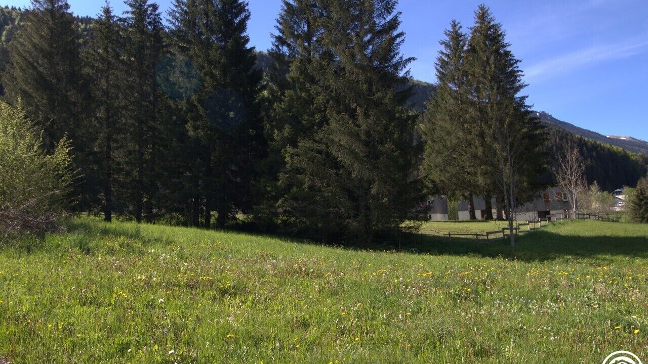 Photo of Others in Lelex