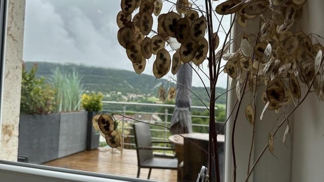 Photo of Others in Samognat