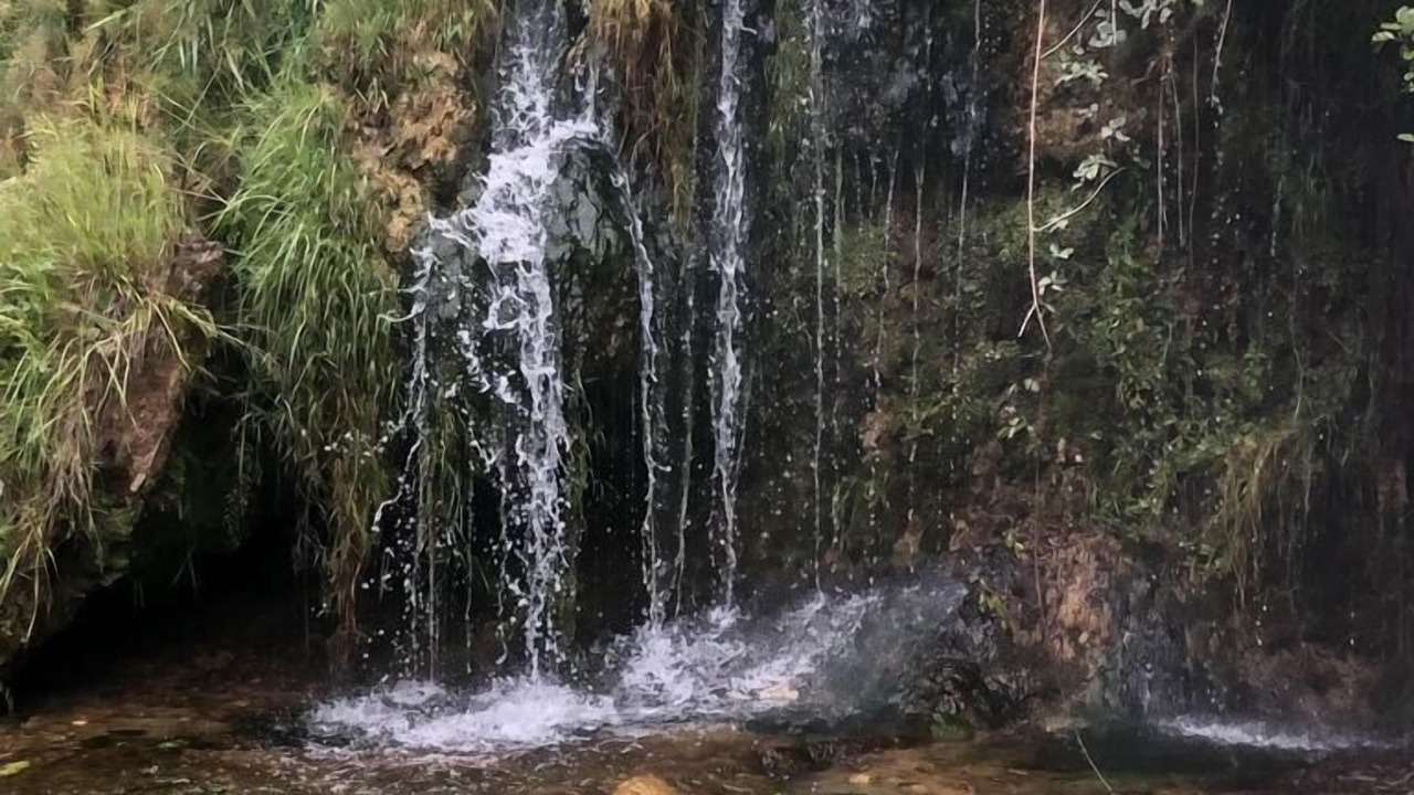 Photo of Others in Samognat