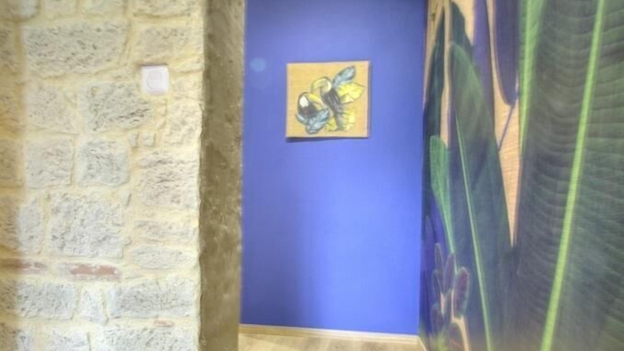 Photo of Others in Samognat