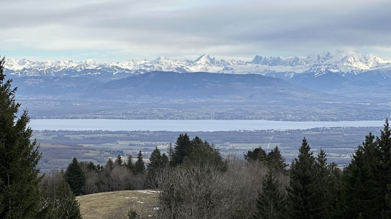 Photo of Others in Gex