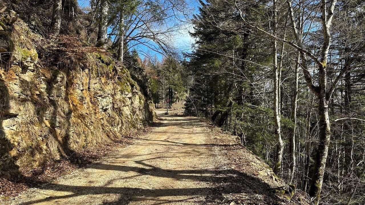 Photo of Others in Gex