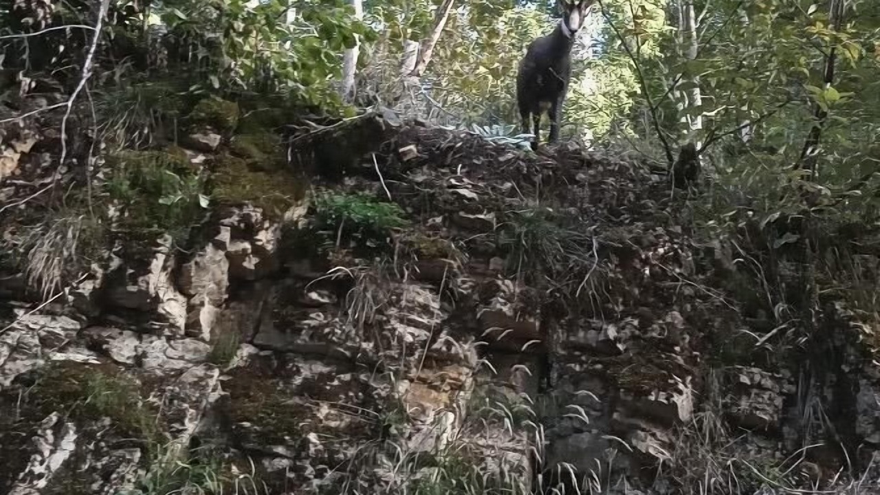 Photo of Others in Gex