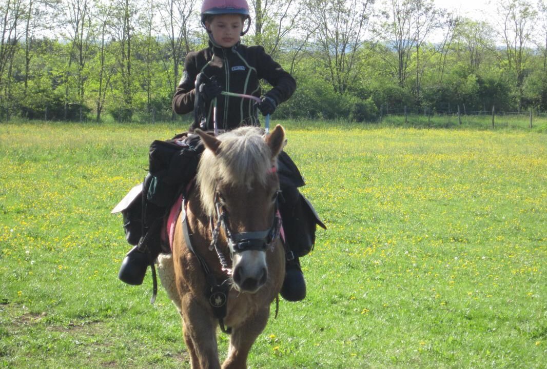 Photo of Others in Chazey-sur-Ain