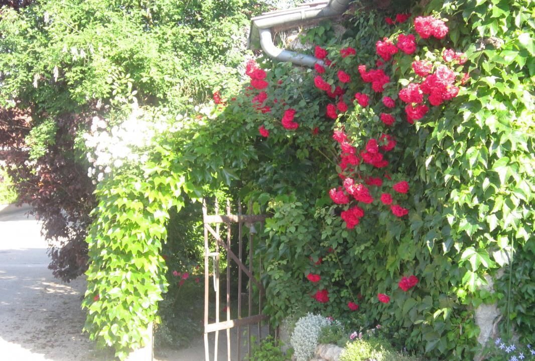 Photo of Outdoor in Chazey-sur-Ain