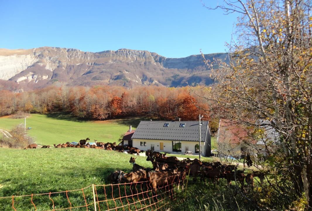 Photo of Outdoor in Chezery Forens