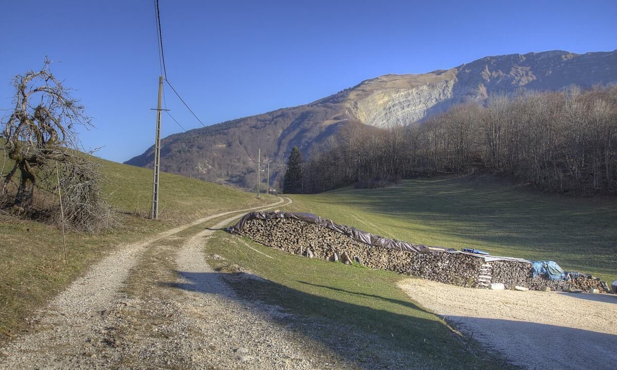 Photo of Others in Chezery Forens